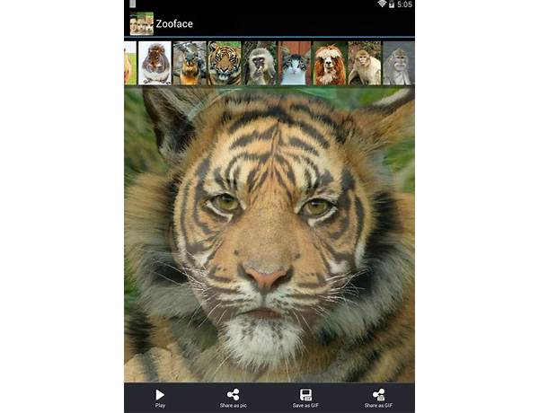 Animal morph for Android - Download the APK from Habererciyes